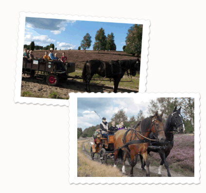 Kutschfahrten Behringer Heide