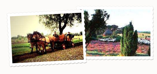 Der Ort Volkwardingen